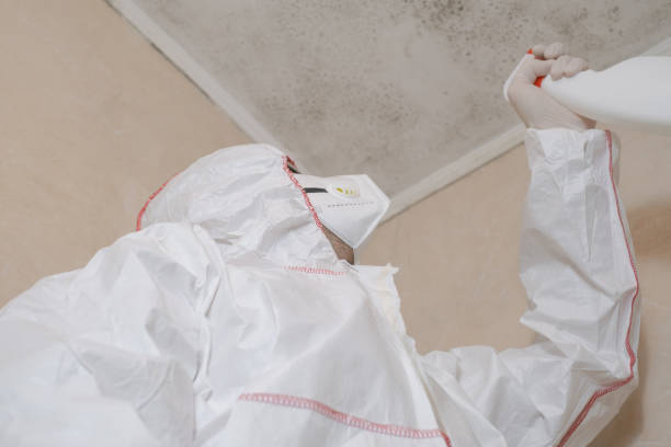 Best Home Mold Removal  in Fairfield University, CT